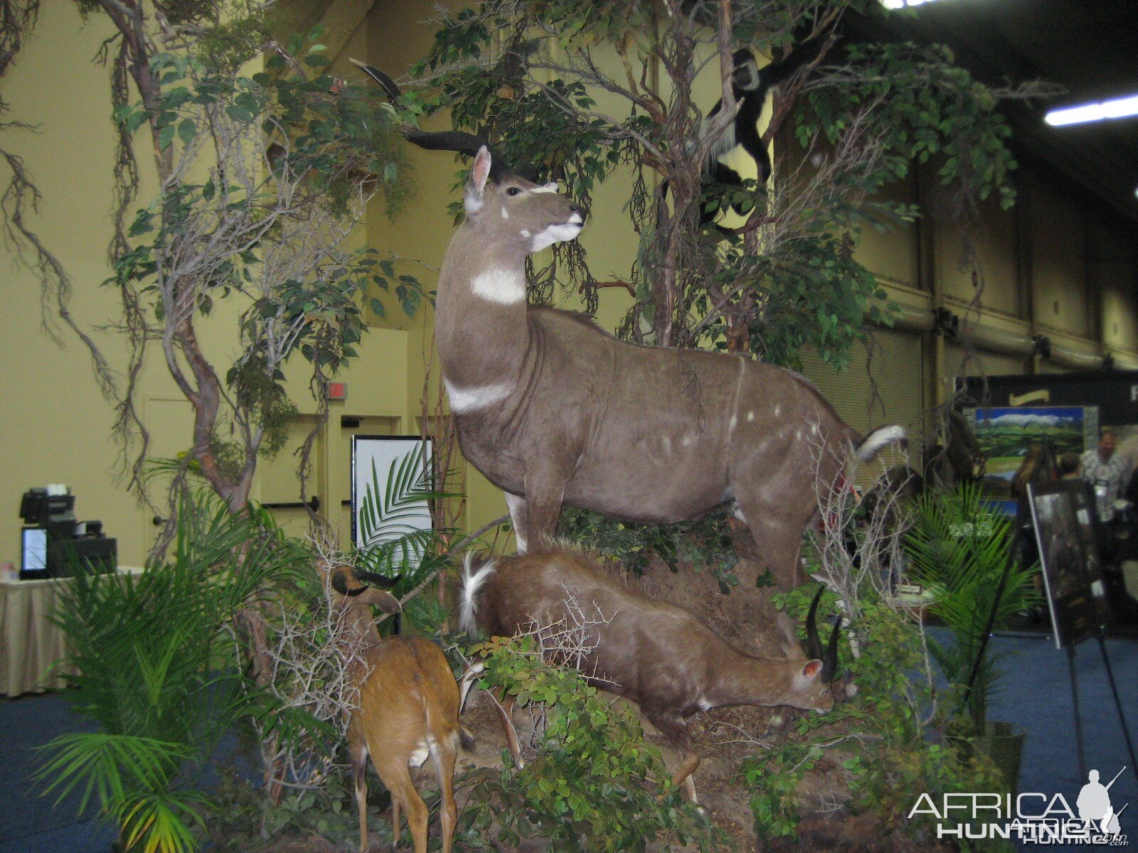 Taxidermy at Safari Club International Convention