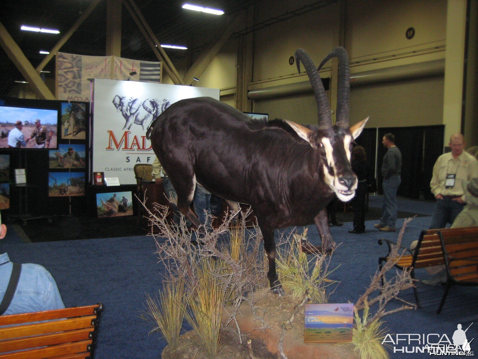 Taxidermy at Safari Club International Convention