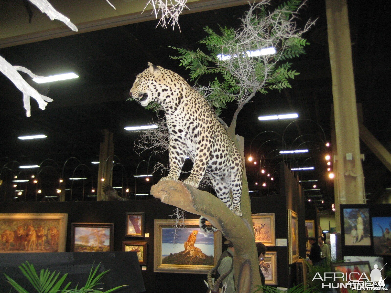 Taxidermy at Safari Club International Convention