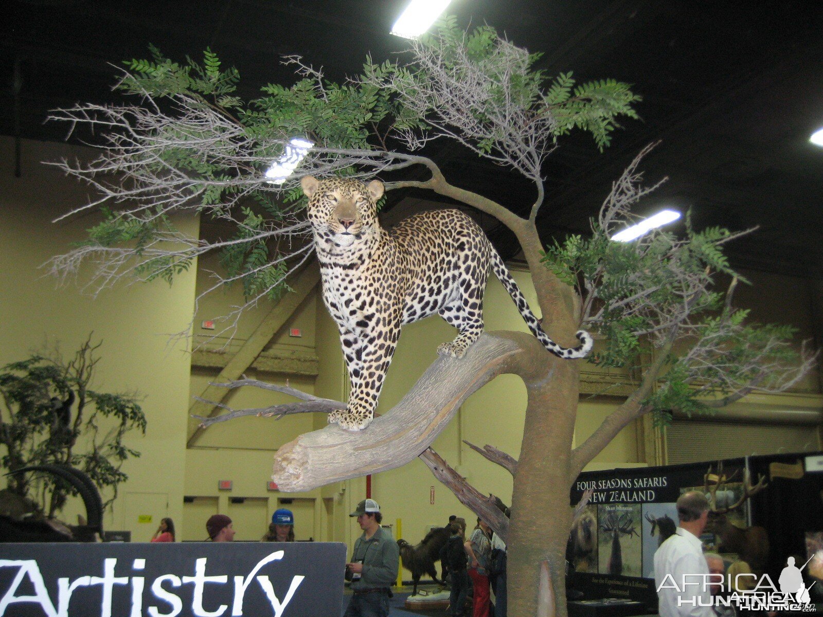 Taxidermy at Safari Club International Convention