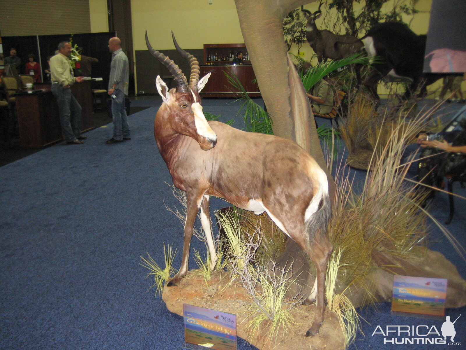 Taxidermy at Safari Club International Convention