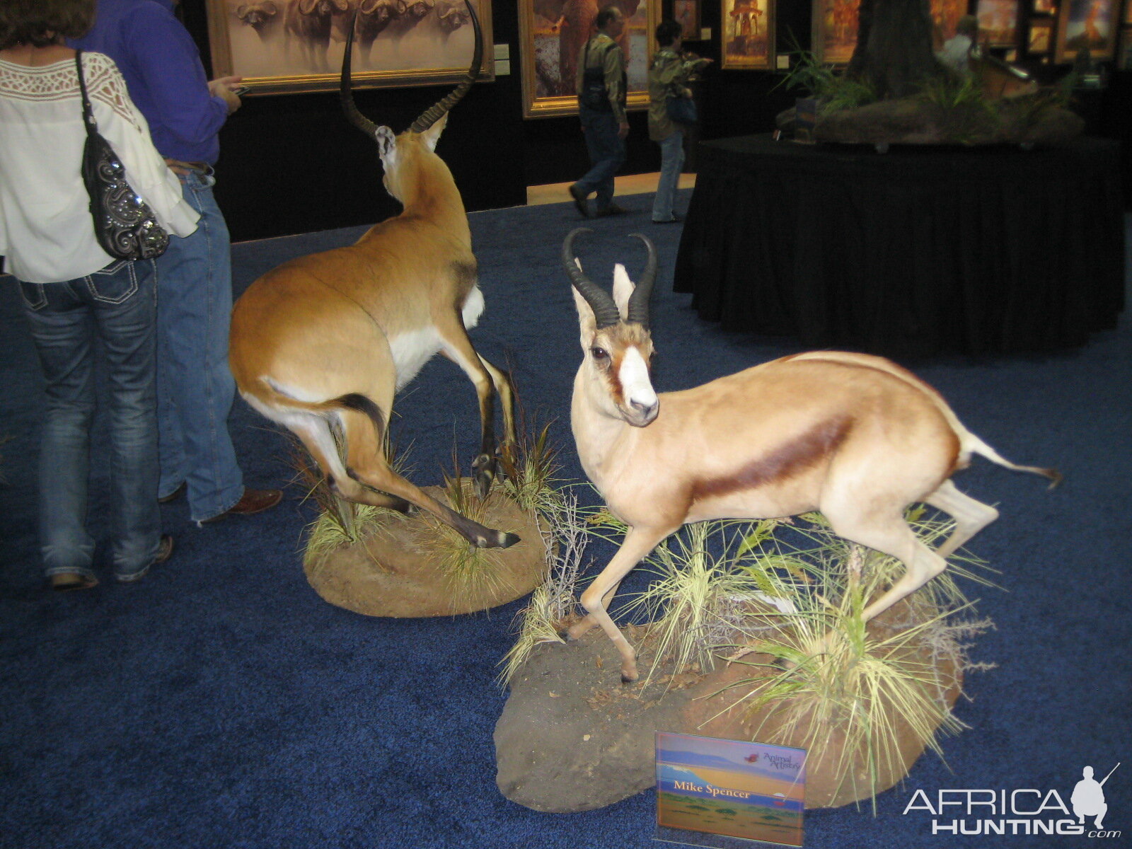 Taxidermy at Safari Club International Convention