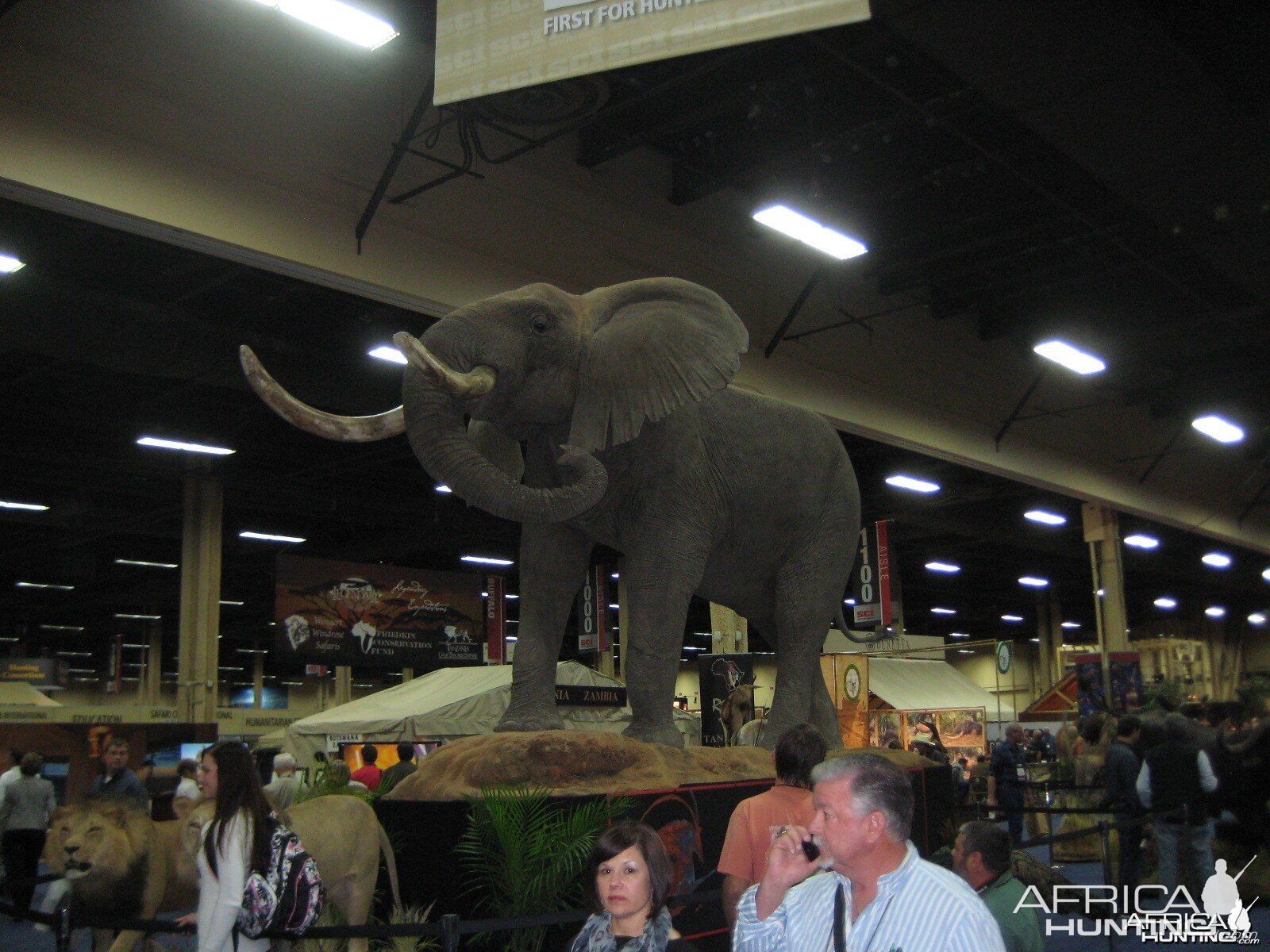 Taxidermy at Safari Club International Convention