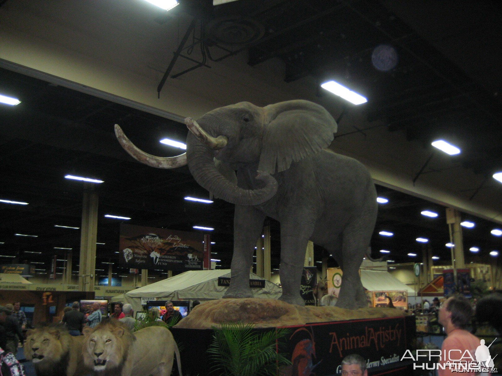 Taxidermy at Safari Club International Convention