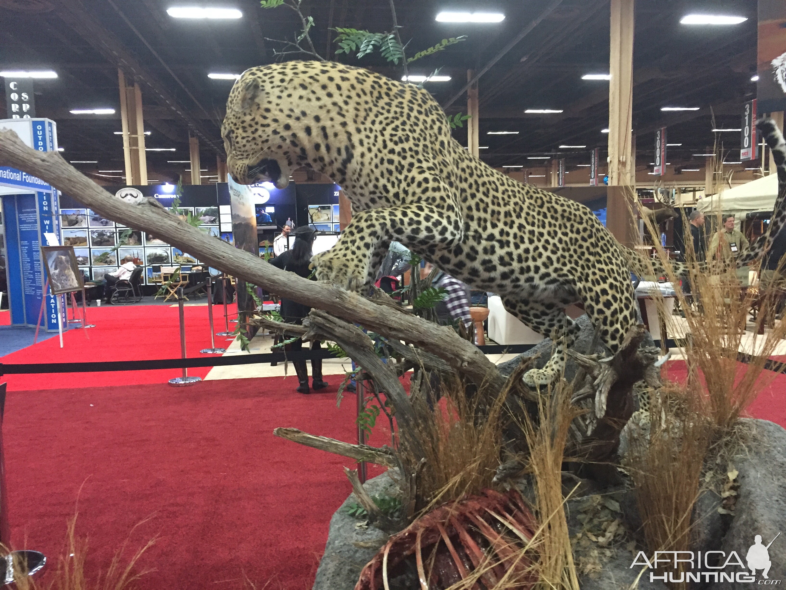 Taxidermy at Safari Club International Convention