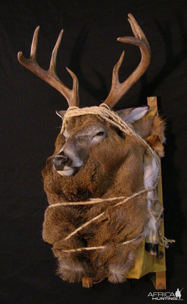 Taxidermy Backpack Mounts Deer