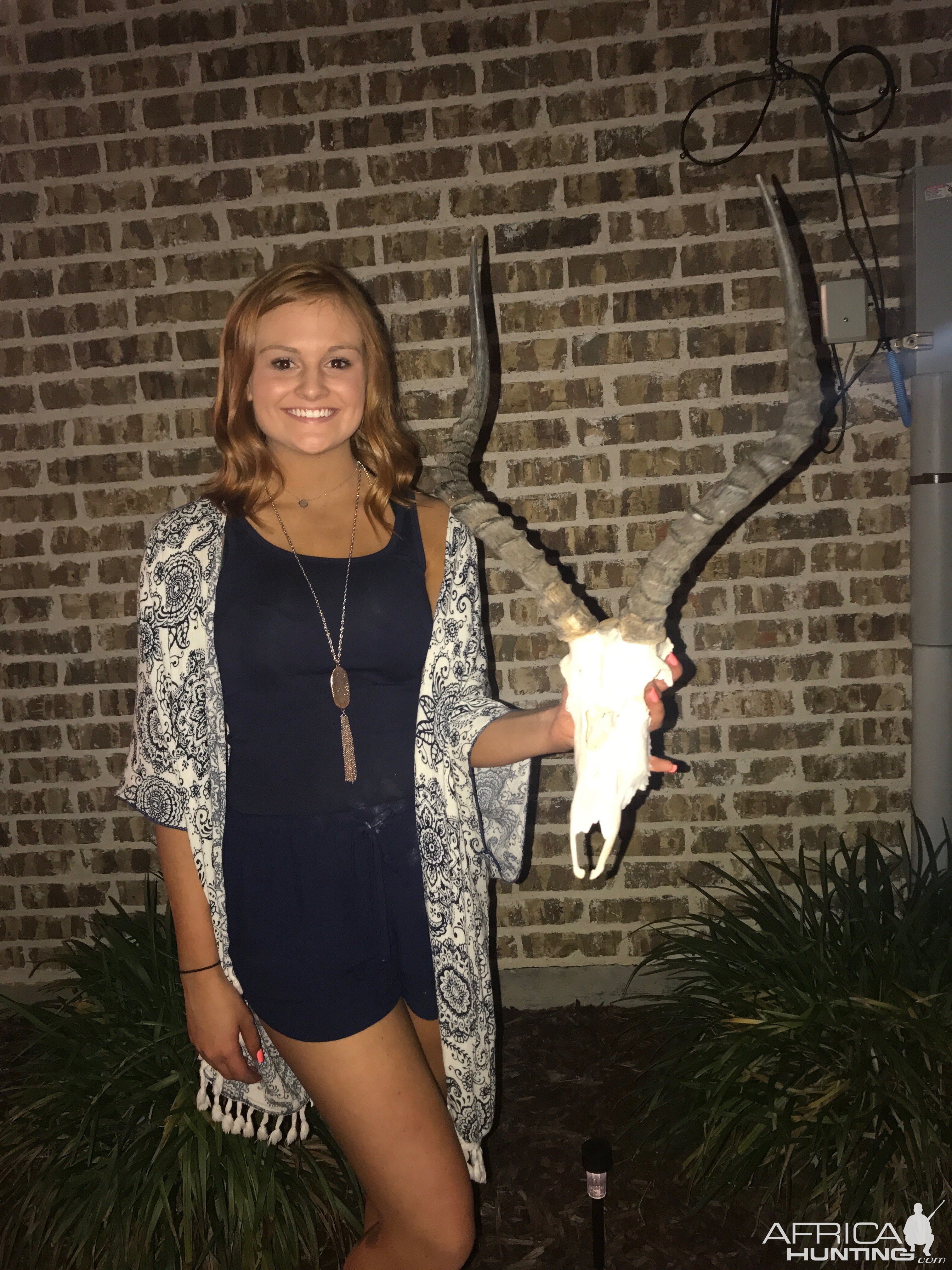 Taxidermy European Skull Mount Impala