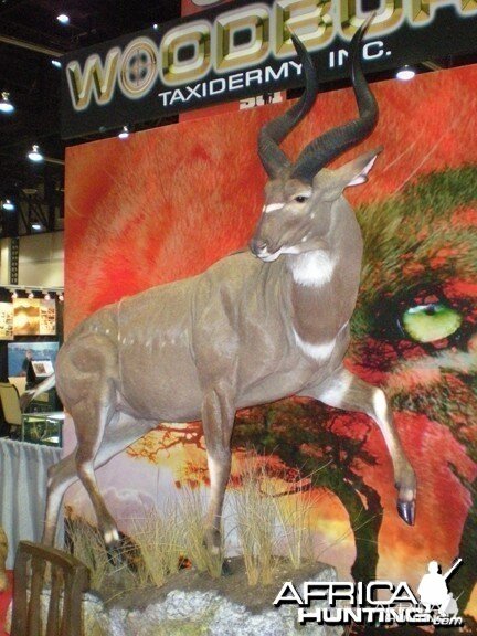 Taxidermy Mountain Nyala