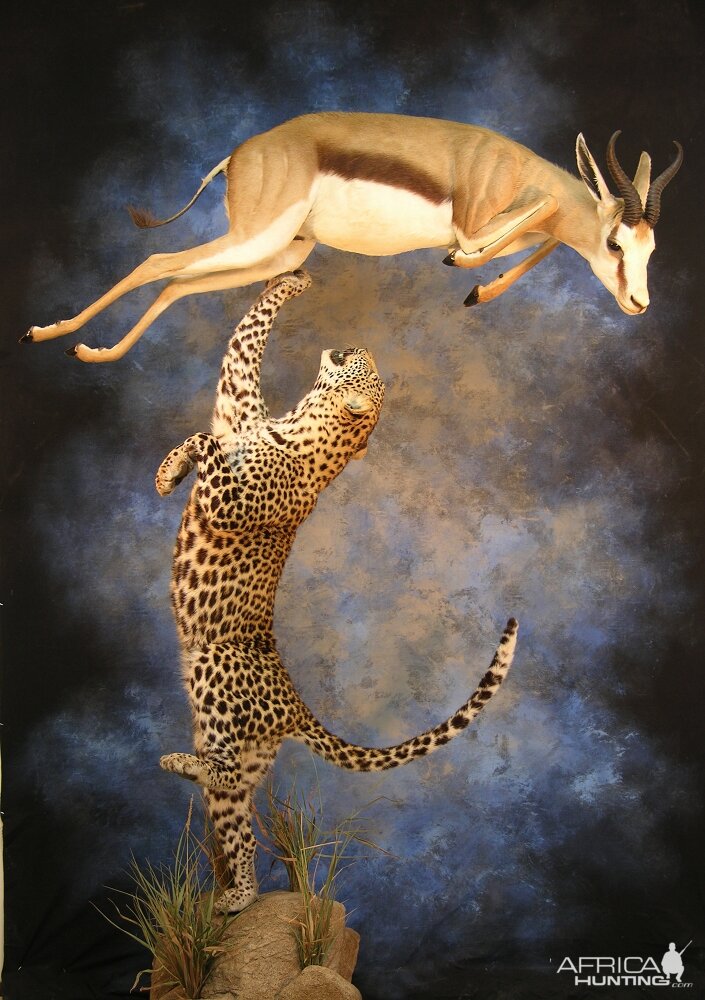 Taxidermy Scene