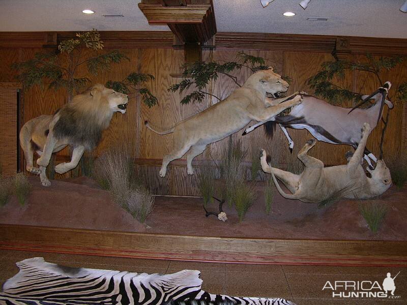 Taxidermy Scene