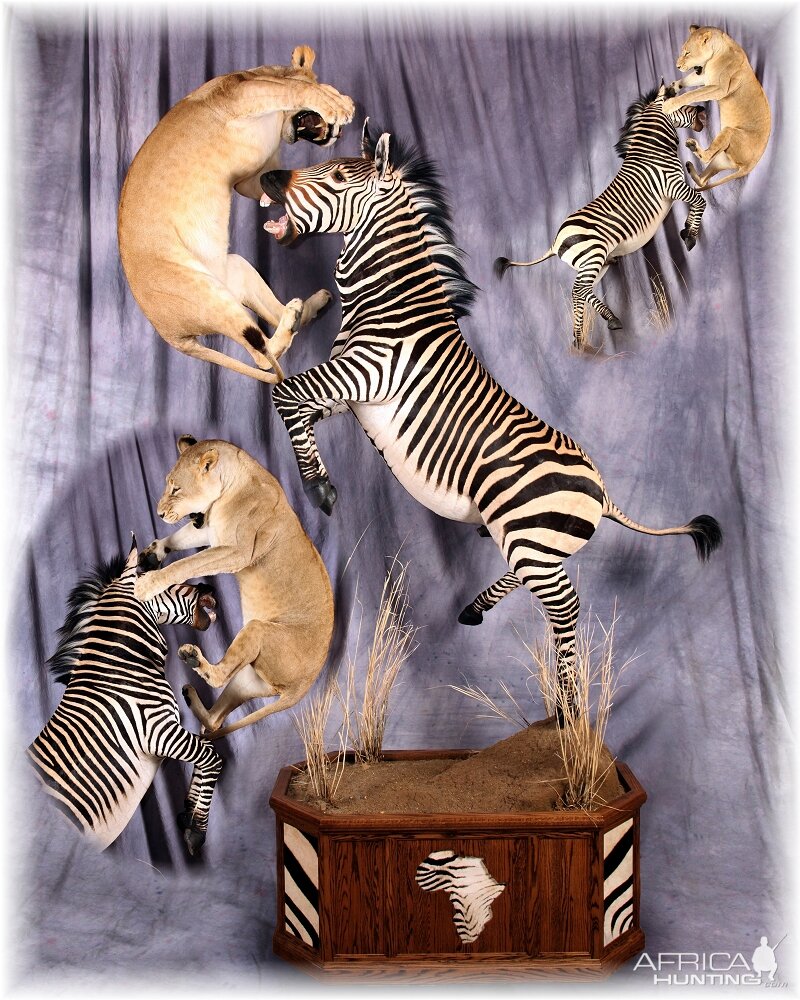 Taxidermy Scene