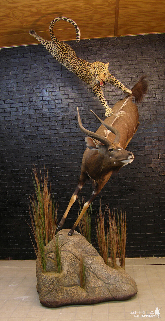 Taxidermy Scene