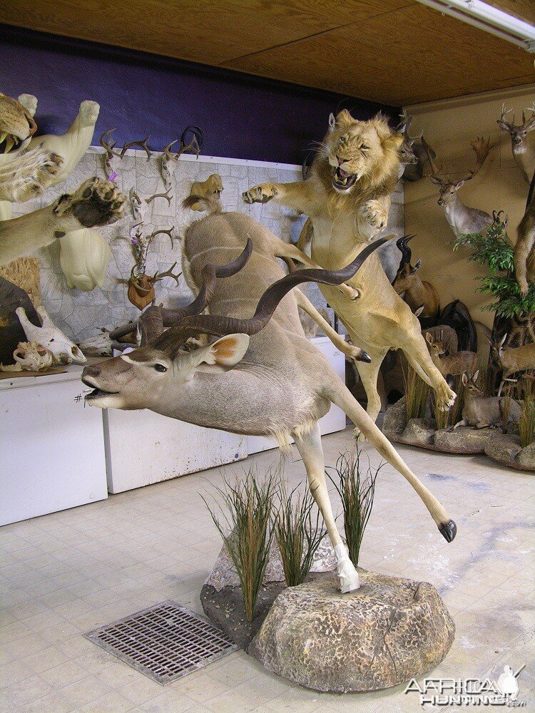 Taxidermy