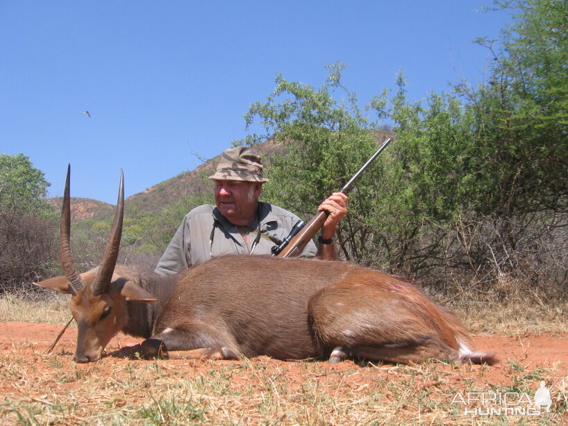 Ted's Bushbuck