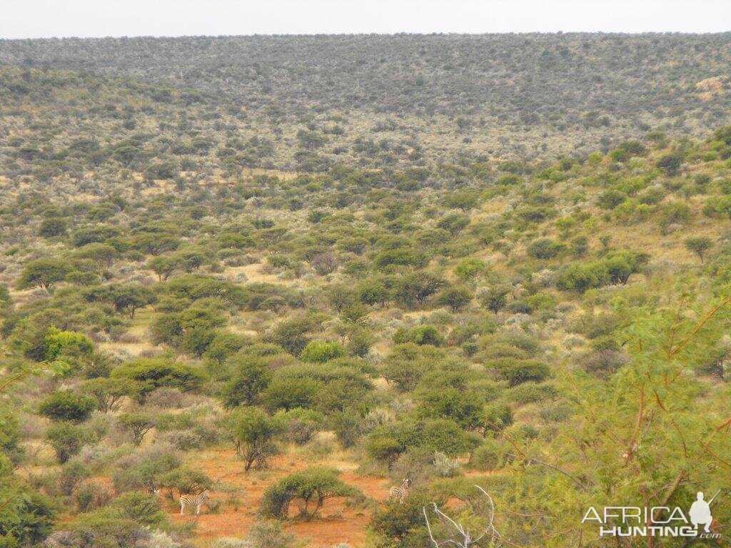 Terrain and sightings Hartzview Hunting Safaris