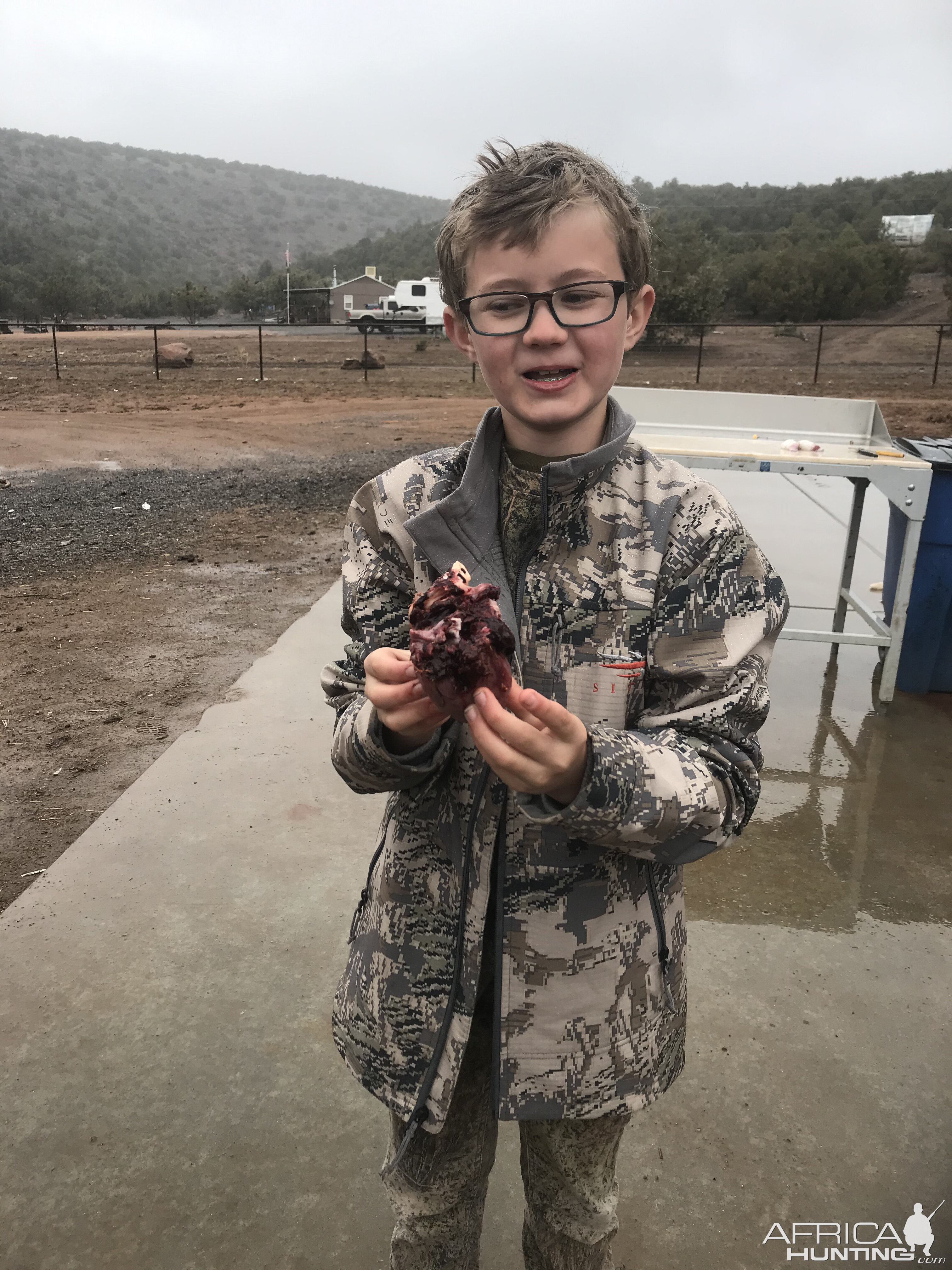 Texas Dall Sheep Heart