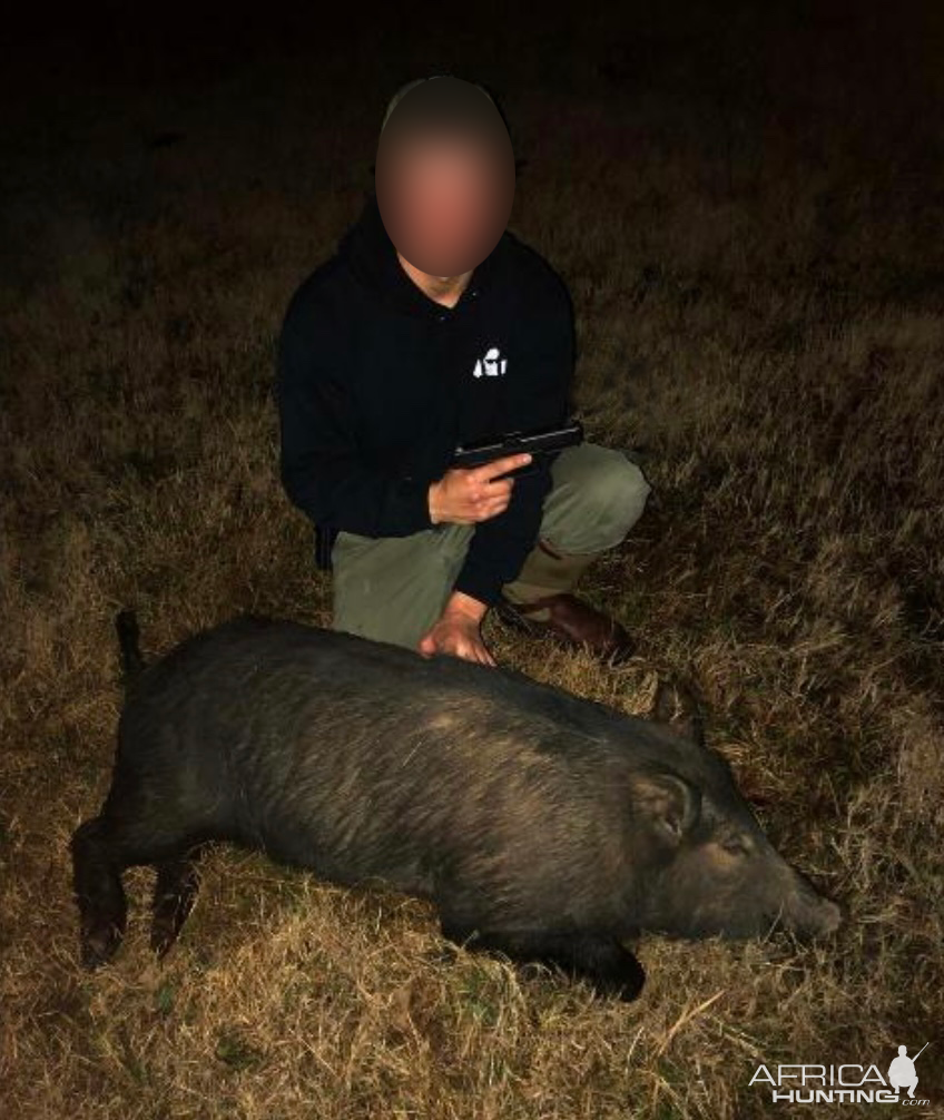 Texas Hog Hunt