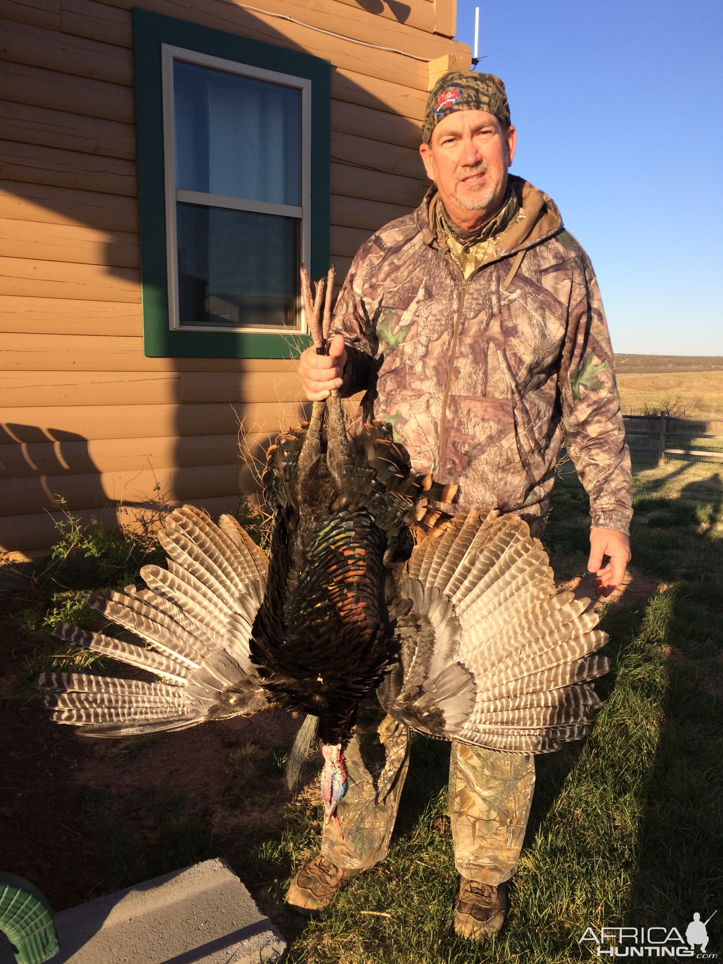 Texas Hunting Turkey