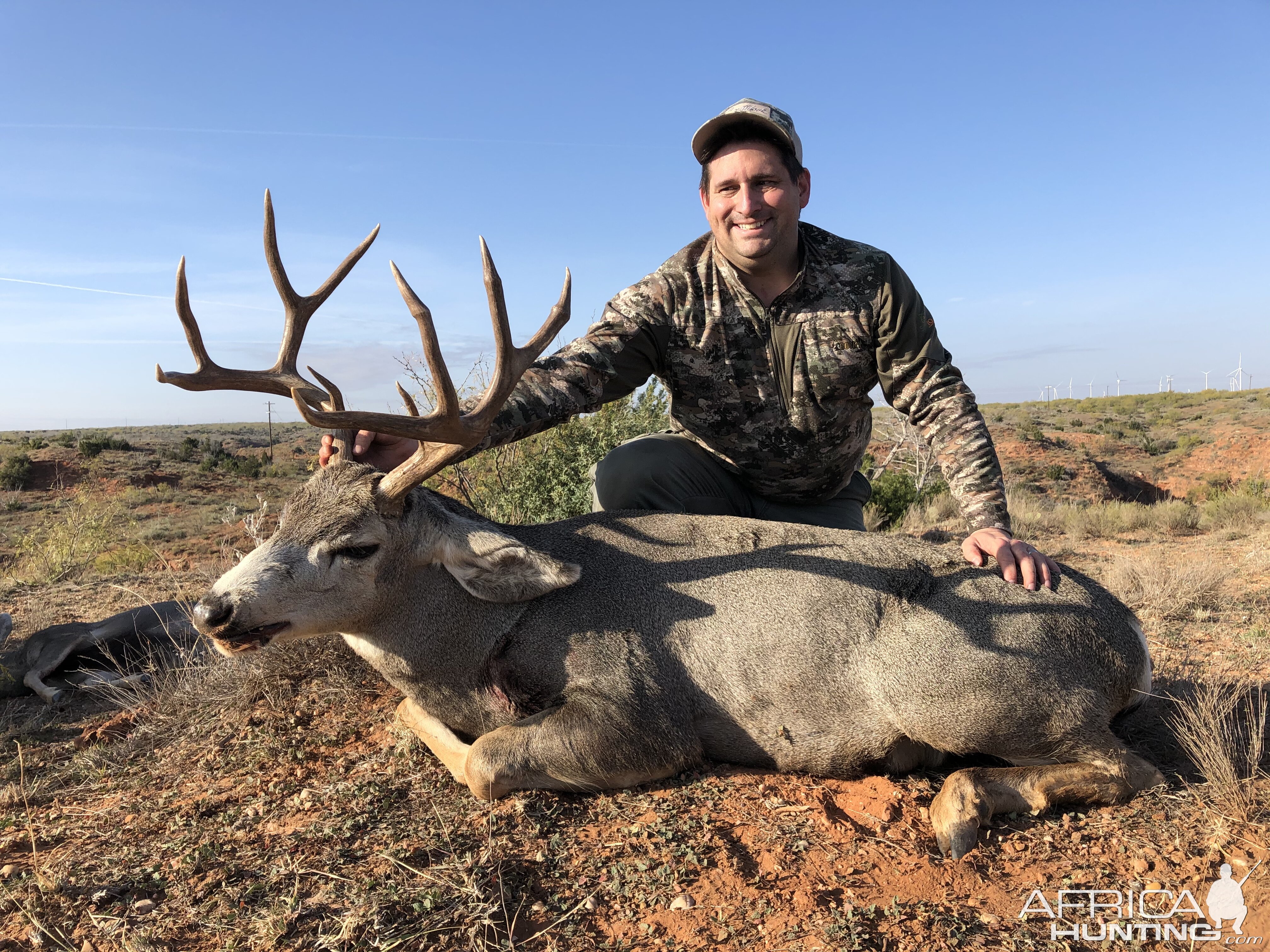 Texas USA Hunt Mule Deer