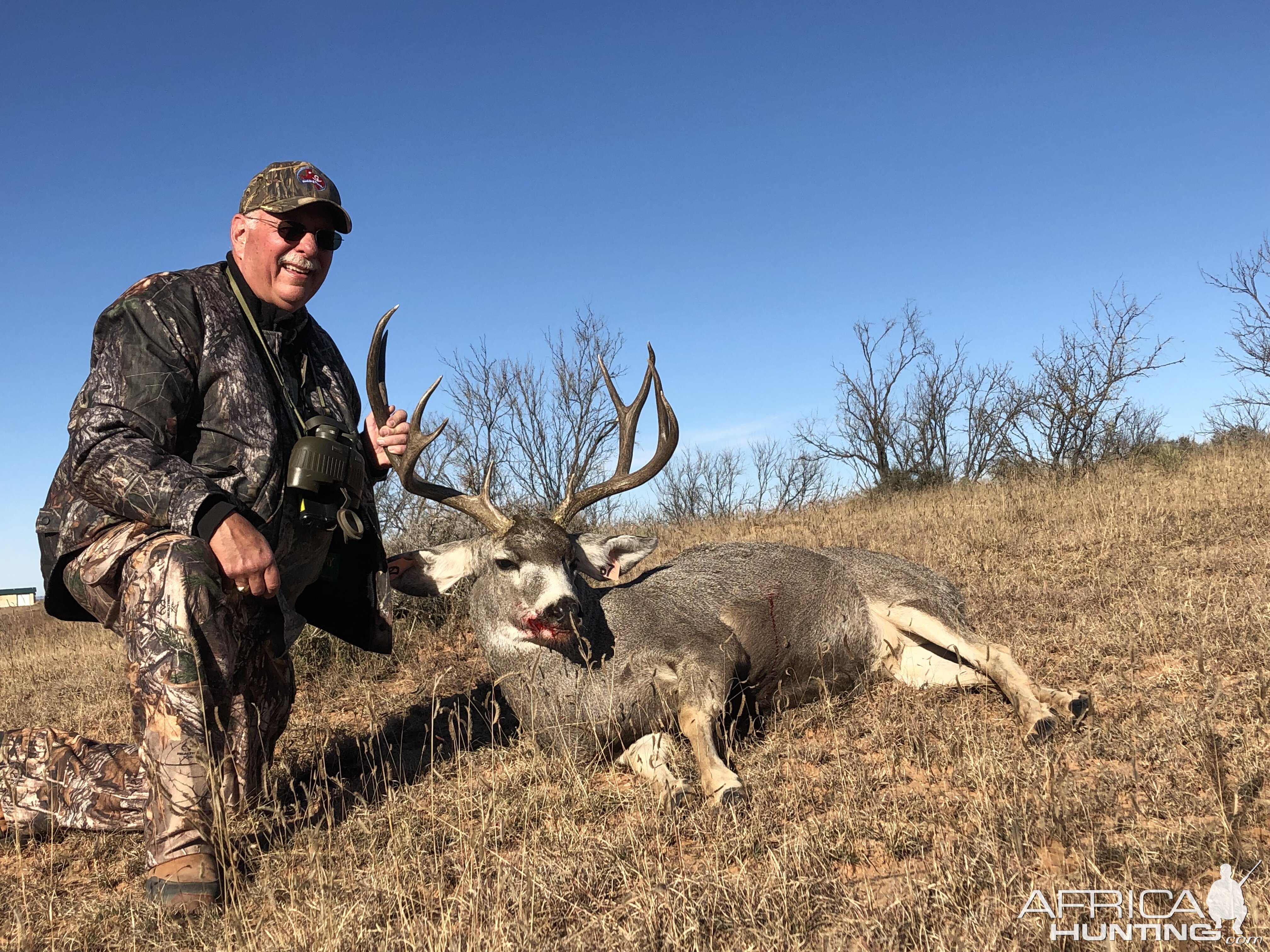 Texas USA Hunt Mule Deer