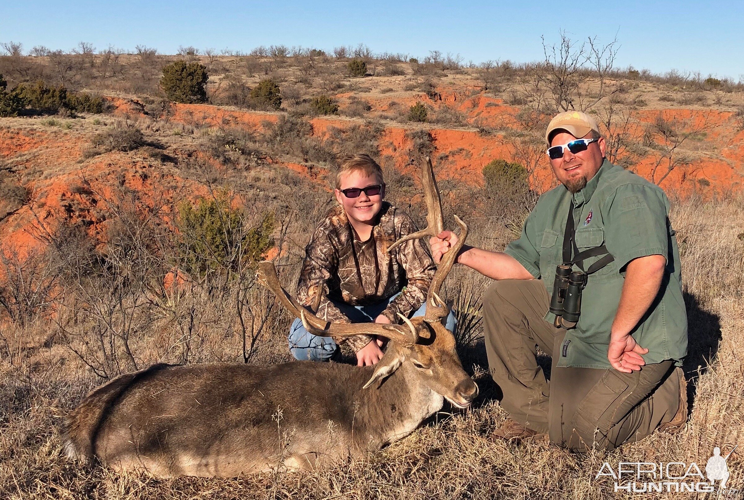 Texas USA Hunt Red Stag