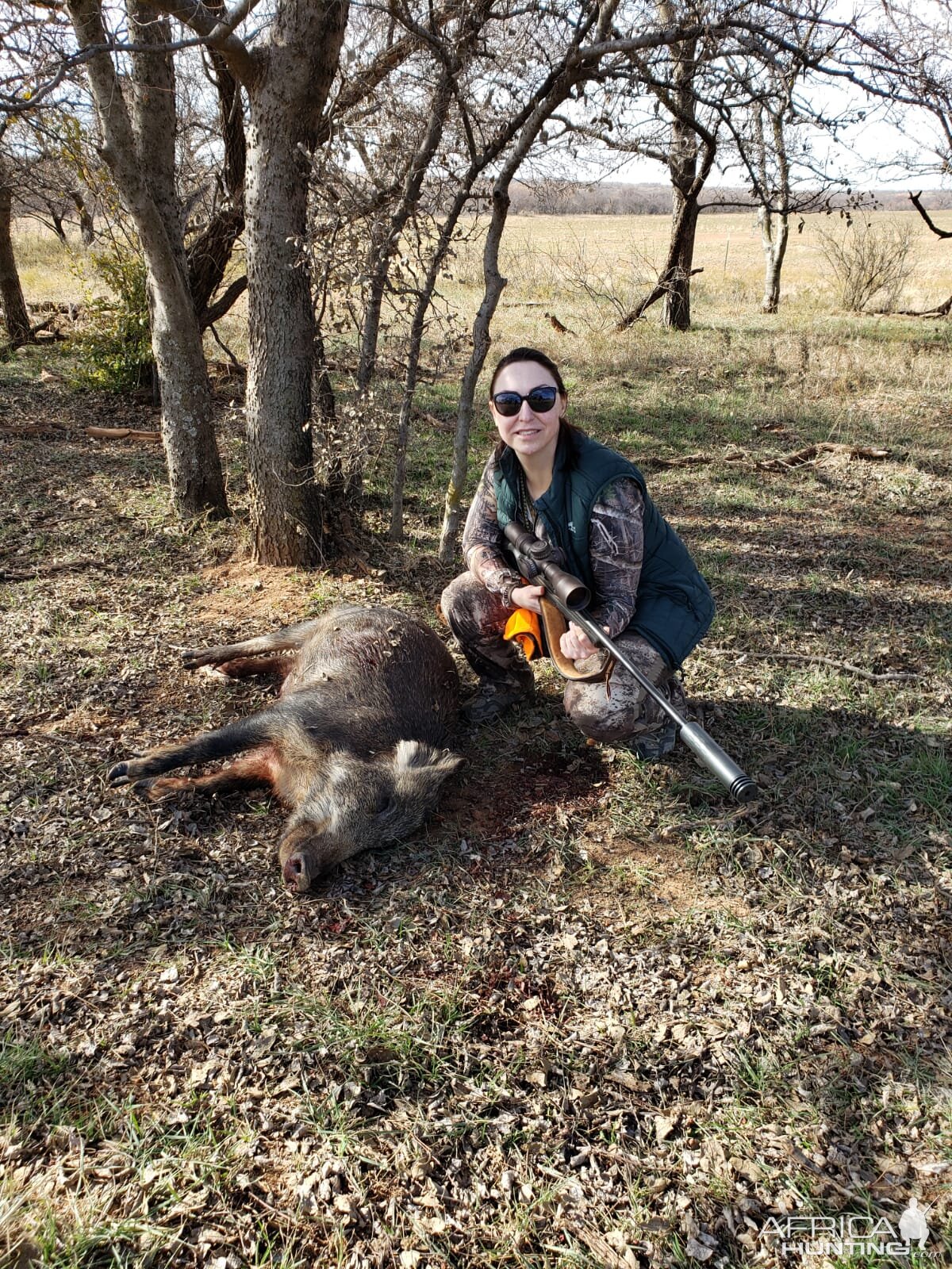 Texas USA Hunting Hog