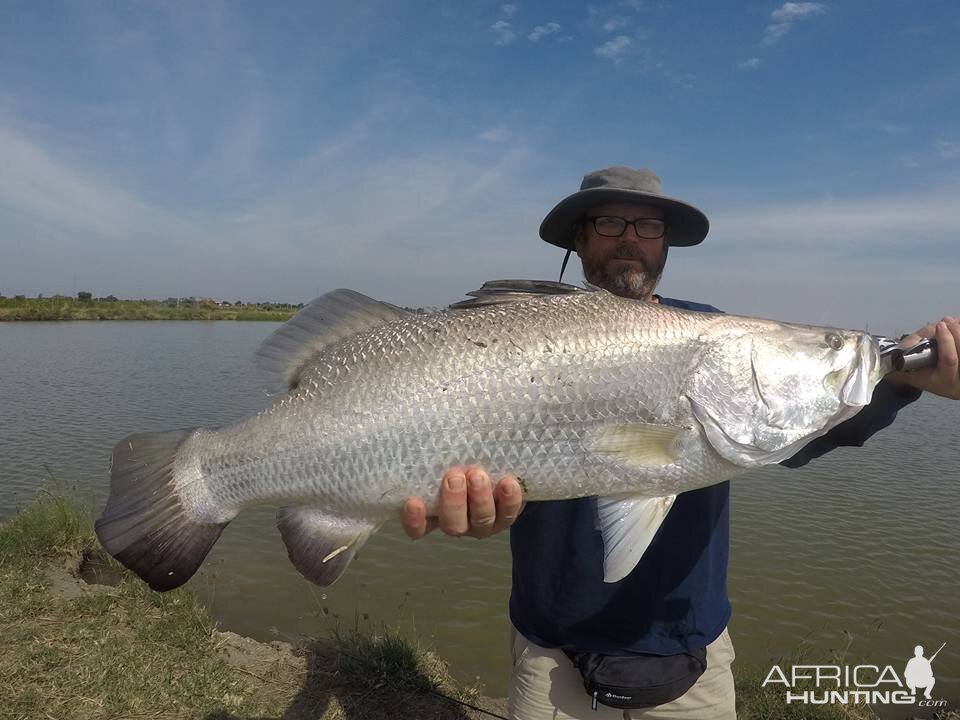 Thailand barramundi