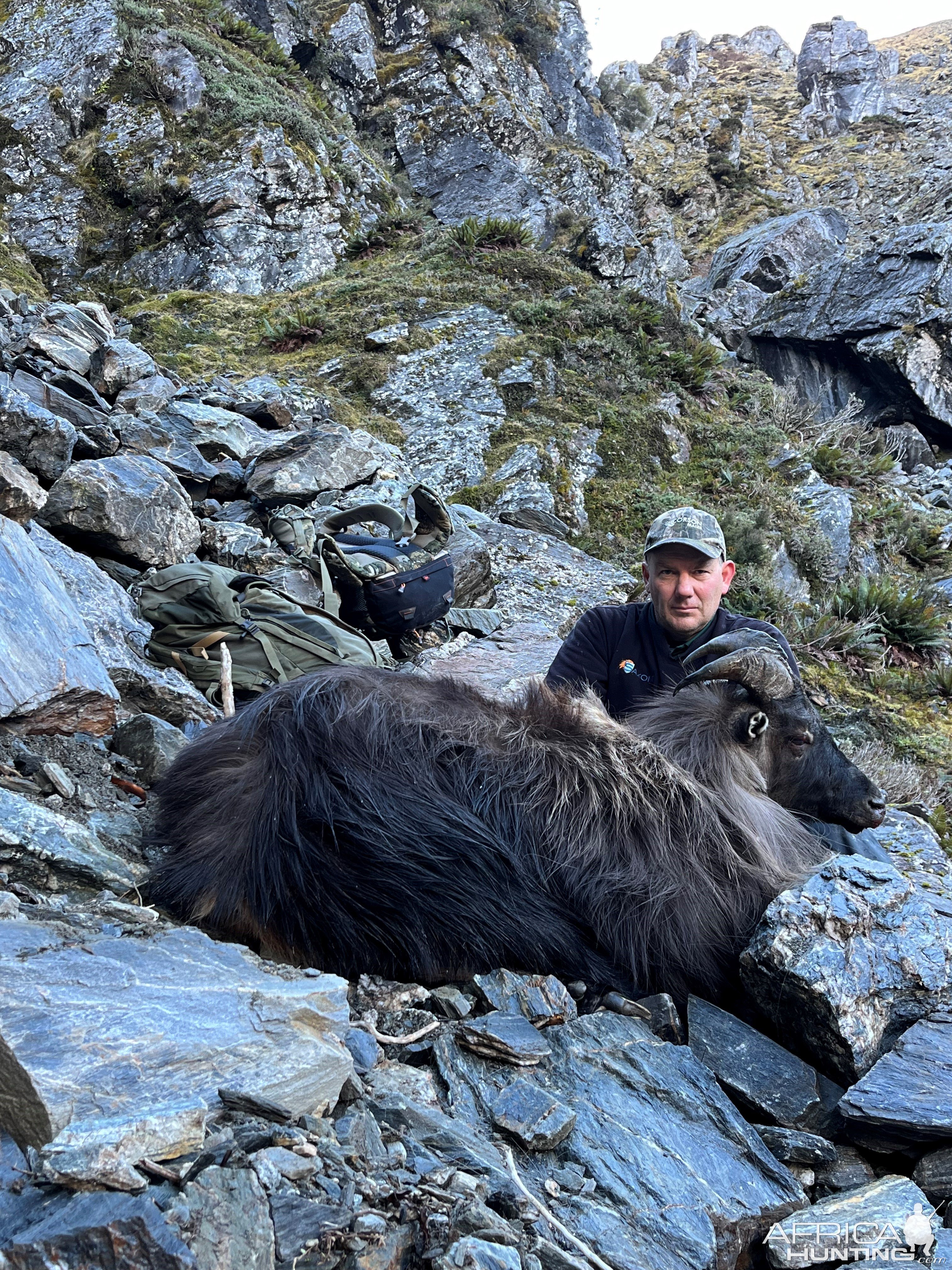 Thar Hunt New Zealand