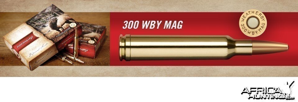 The .300 Weatherby Magnum