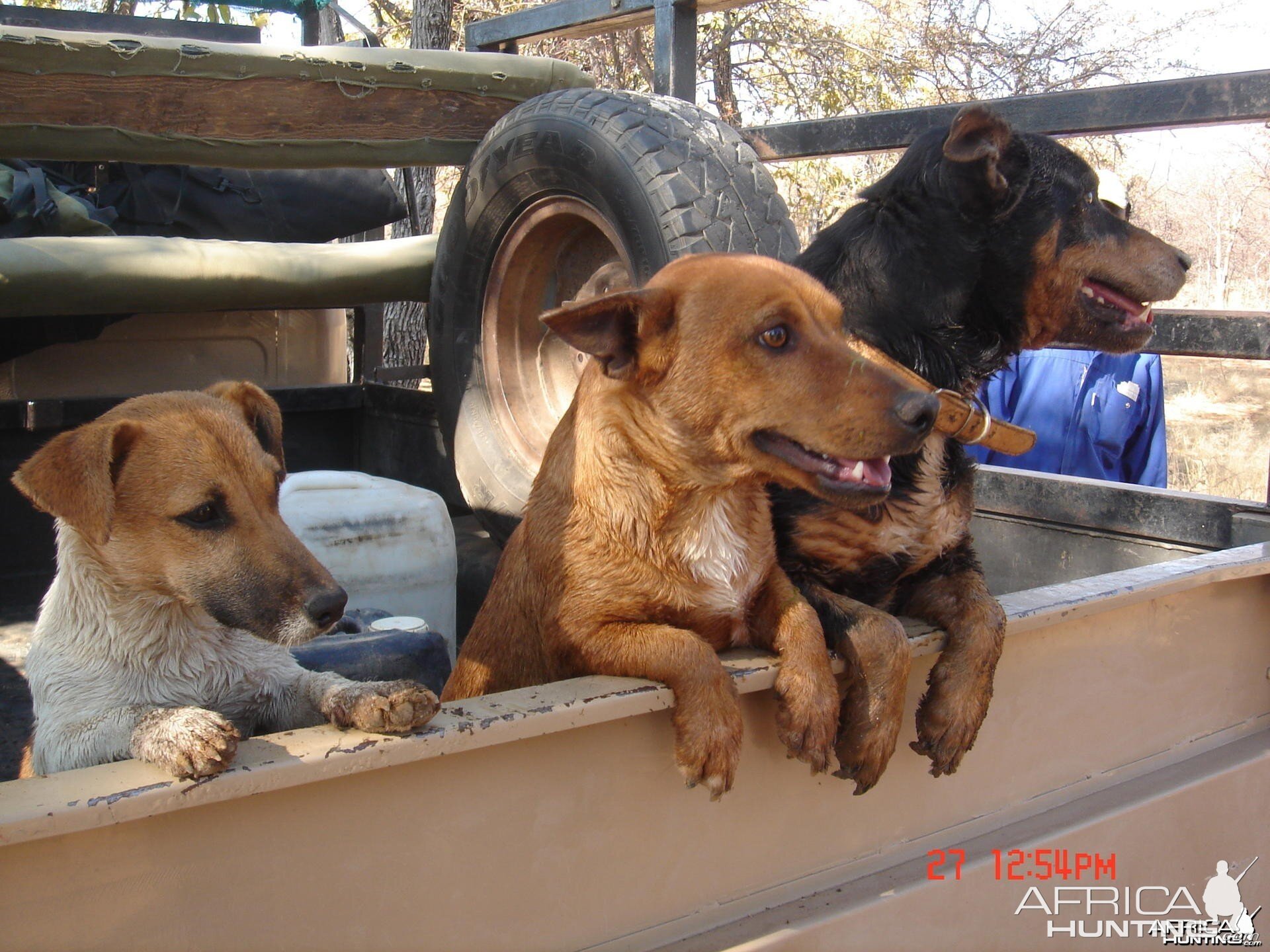 The boys in the pickup...