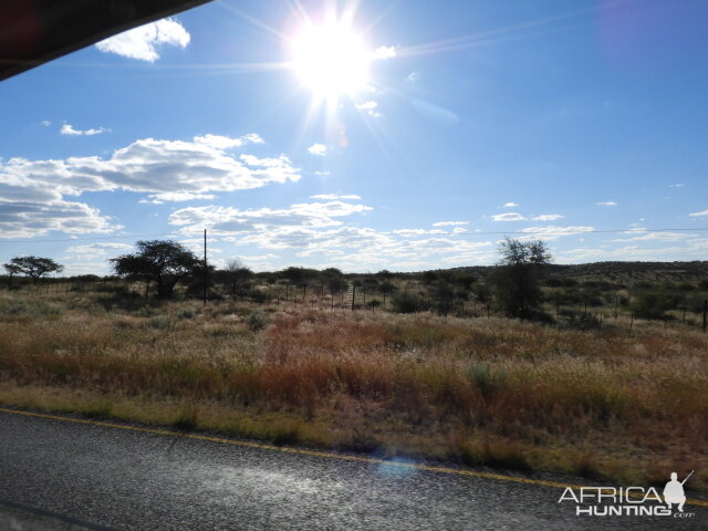 The drive from the airport, Sunny and 75!