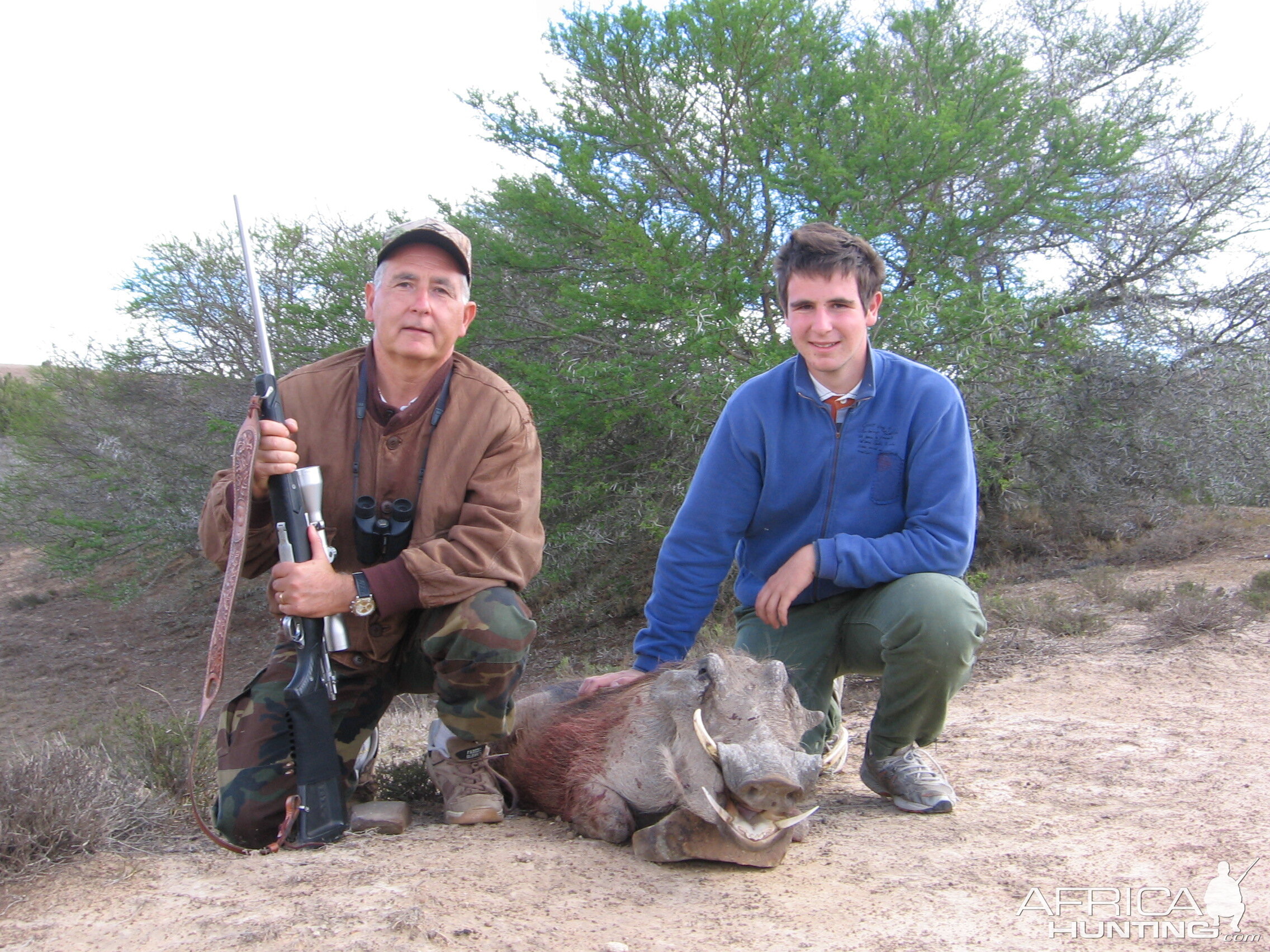 The First African Animal of my Father Warthog Eastern Cape