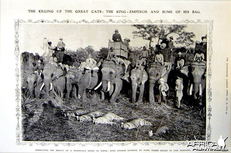 The Killing of the Great Cats