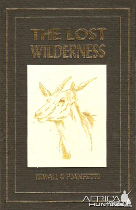 The Lost Wilderness by Mohamed Ismail and Alice Pianfetti