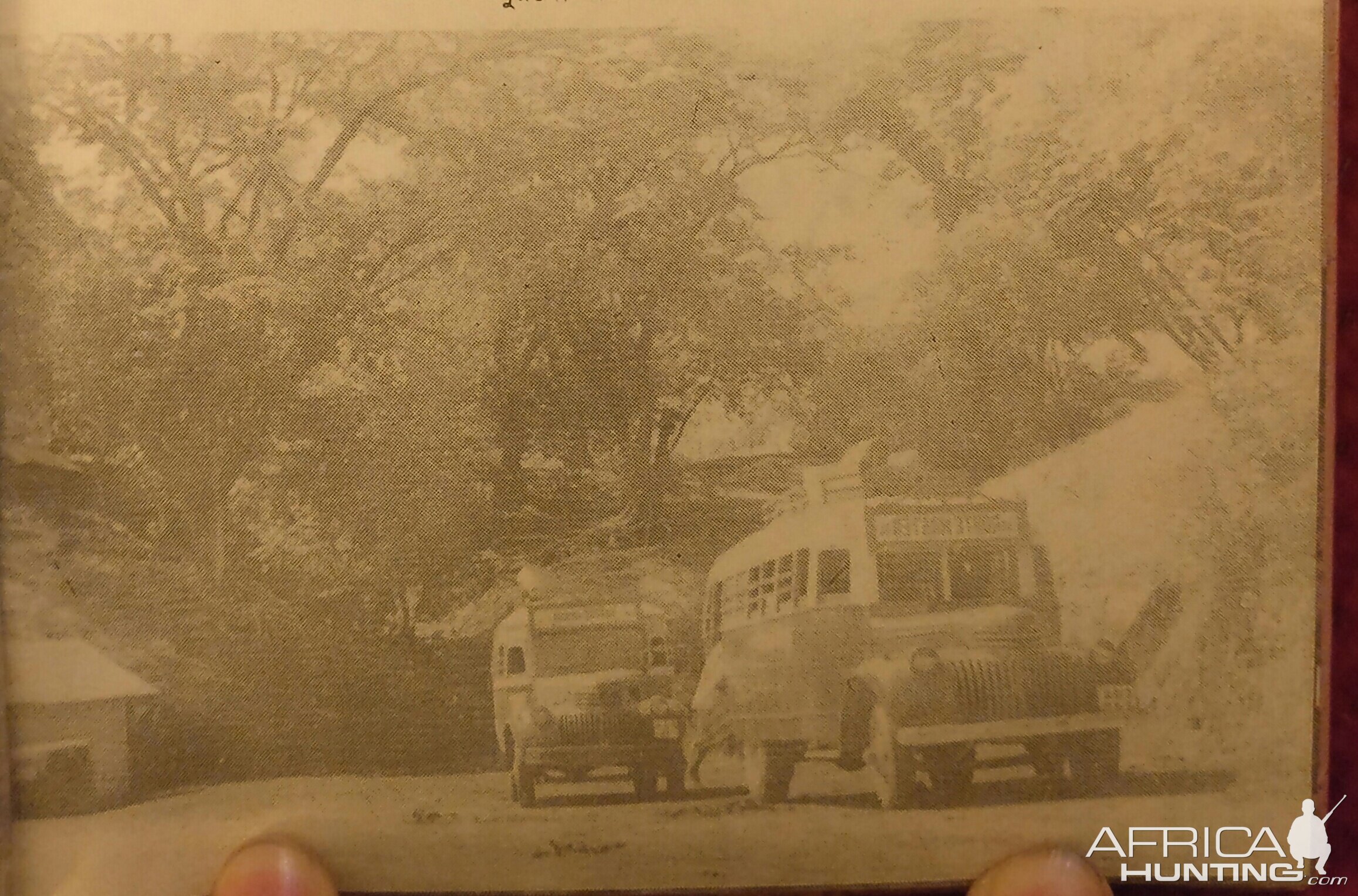 The road from Habiganj to Dacca