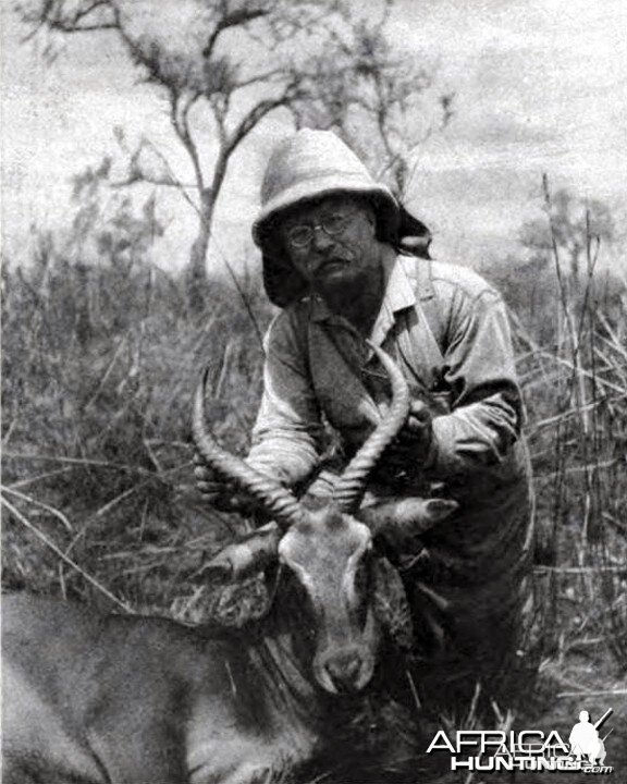 Theodore Roosevelt with kob, shot at rhino camp