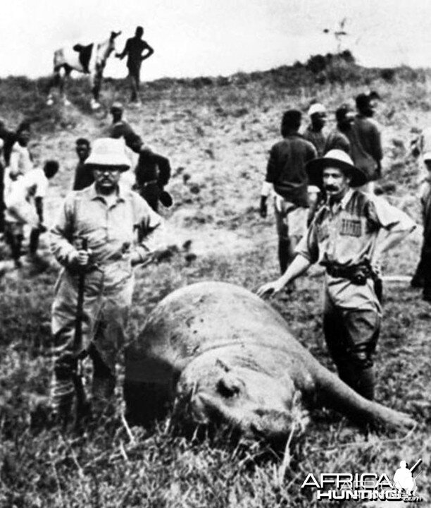 Theodore Roosevelt with one of the Hippos