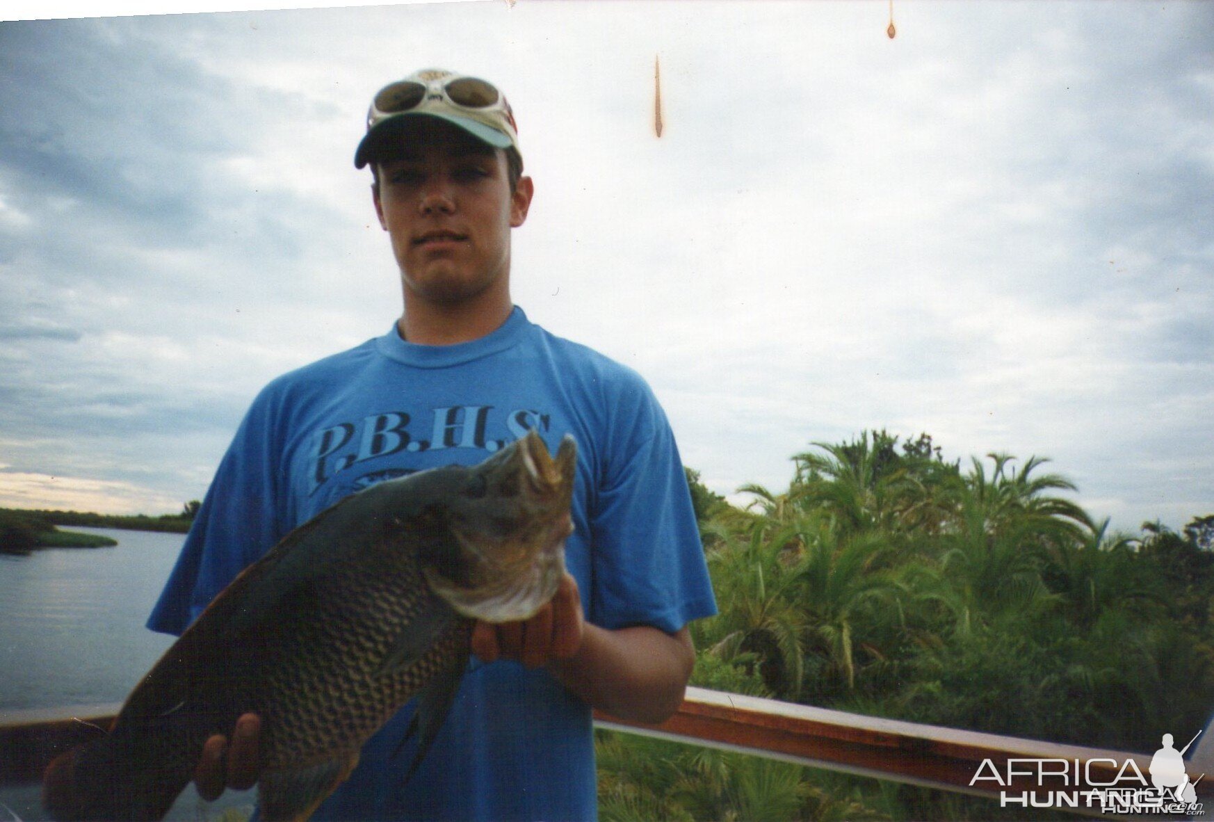 Thin face large mouth, caught near Seronga, Botswana