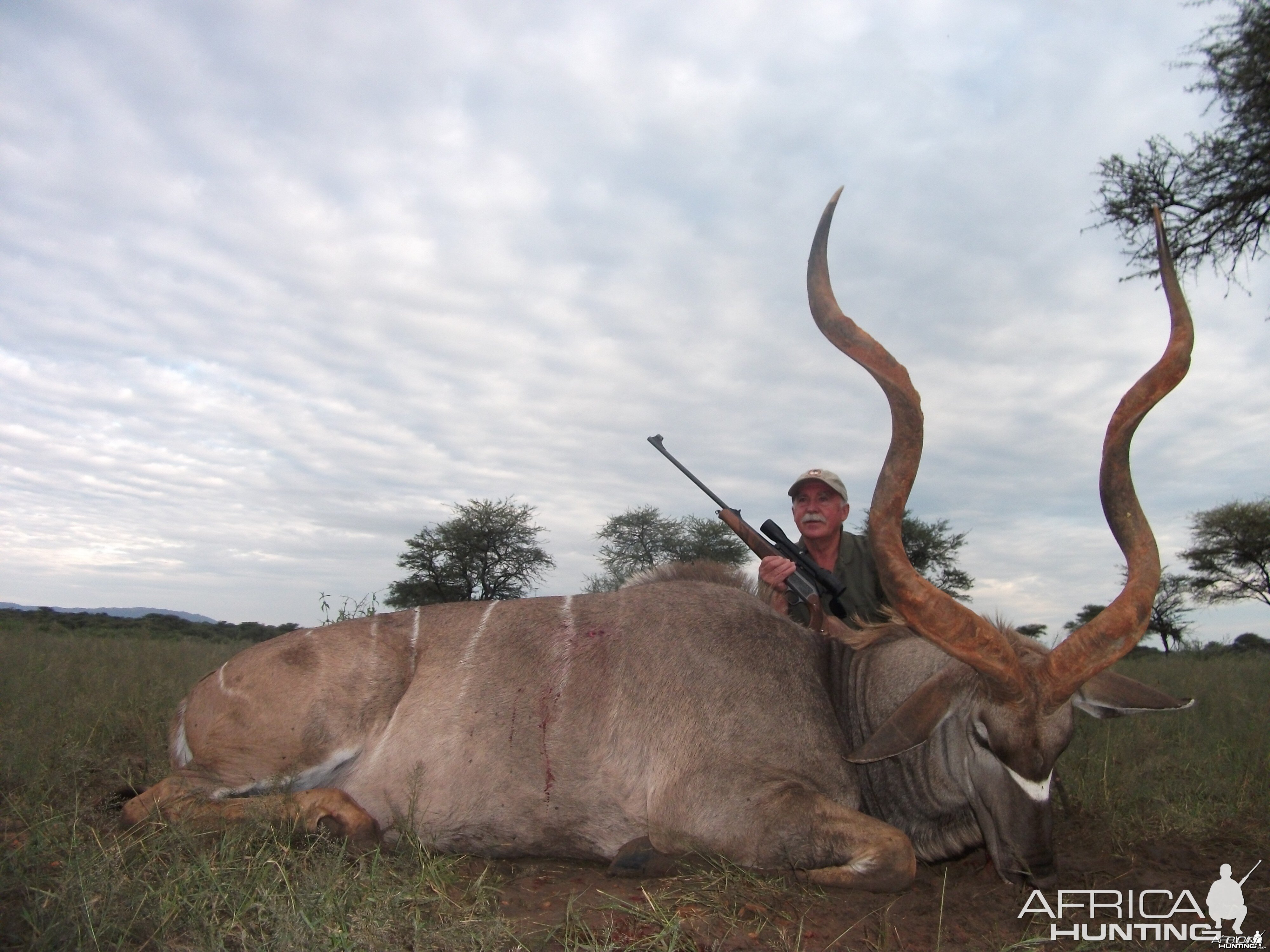 Three horned Greater Kudu hunted in Namibia