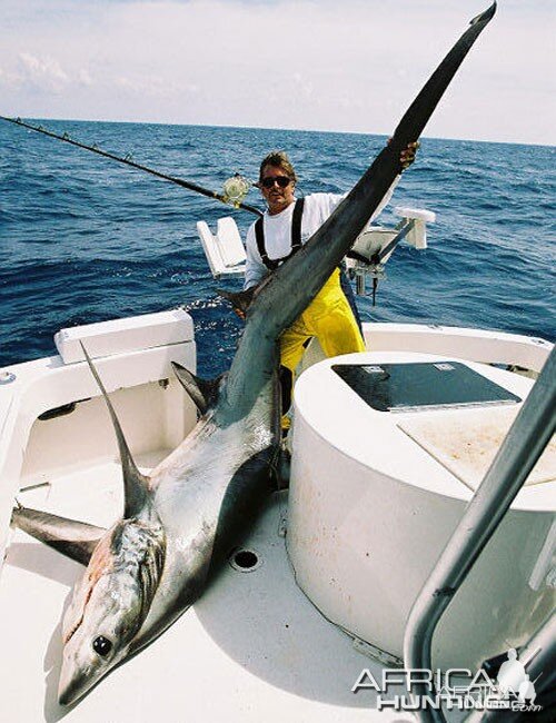 Thresher Shark