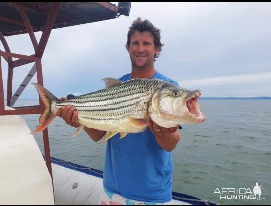 Tiger Fish Fishing