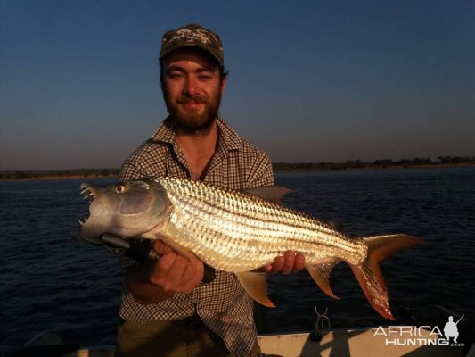 Tiger Fish Zimbabwe Fishing