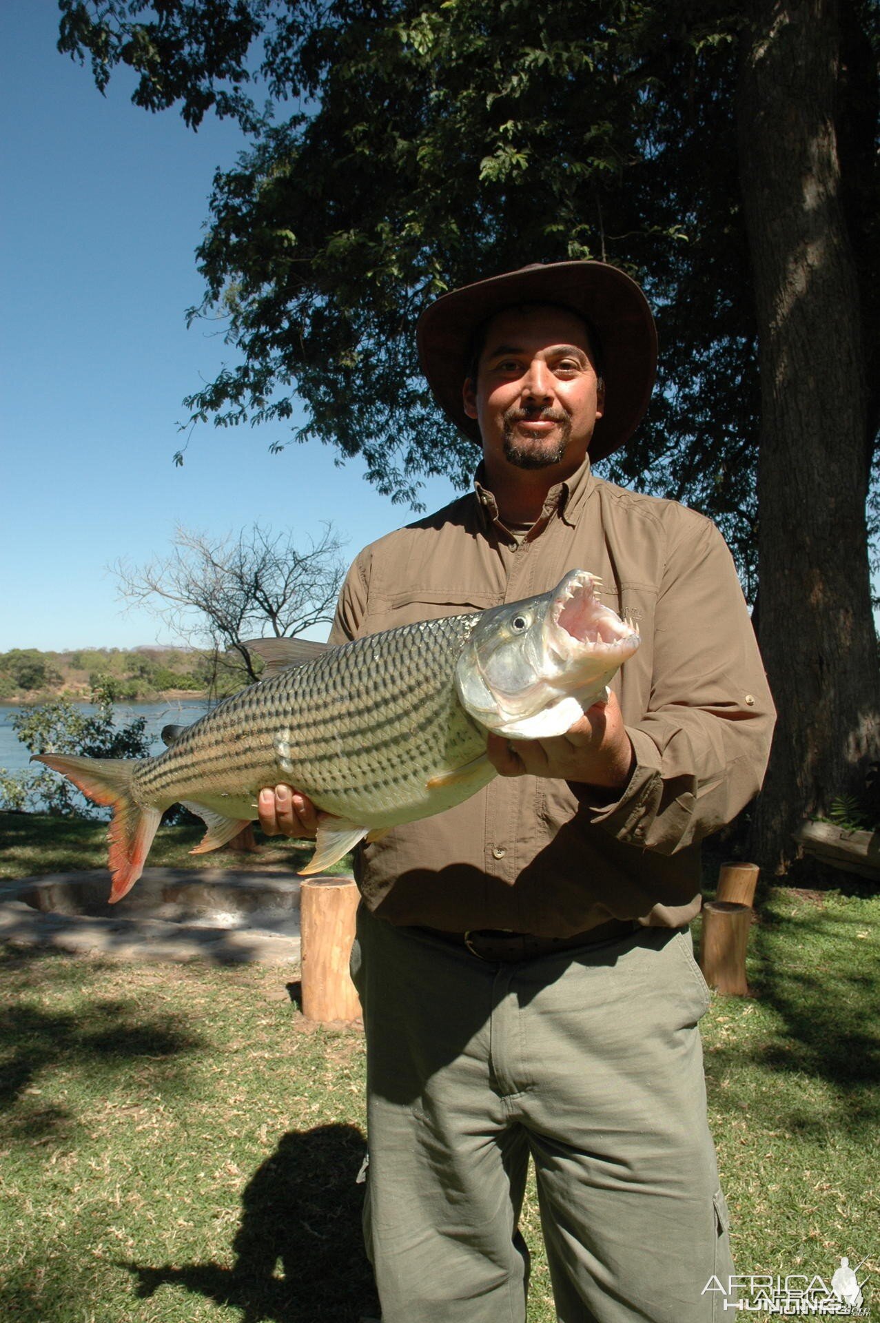 Tiger fishing in Zimbabwe