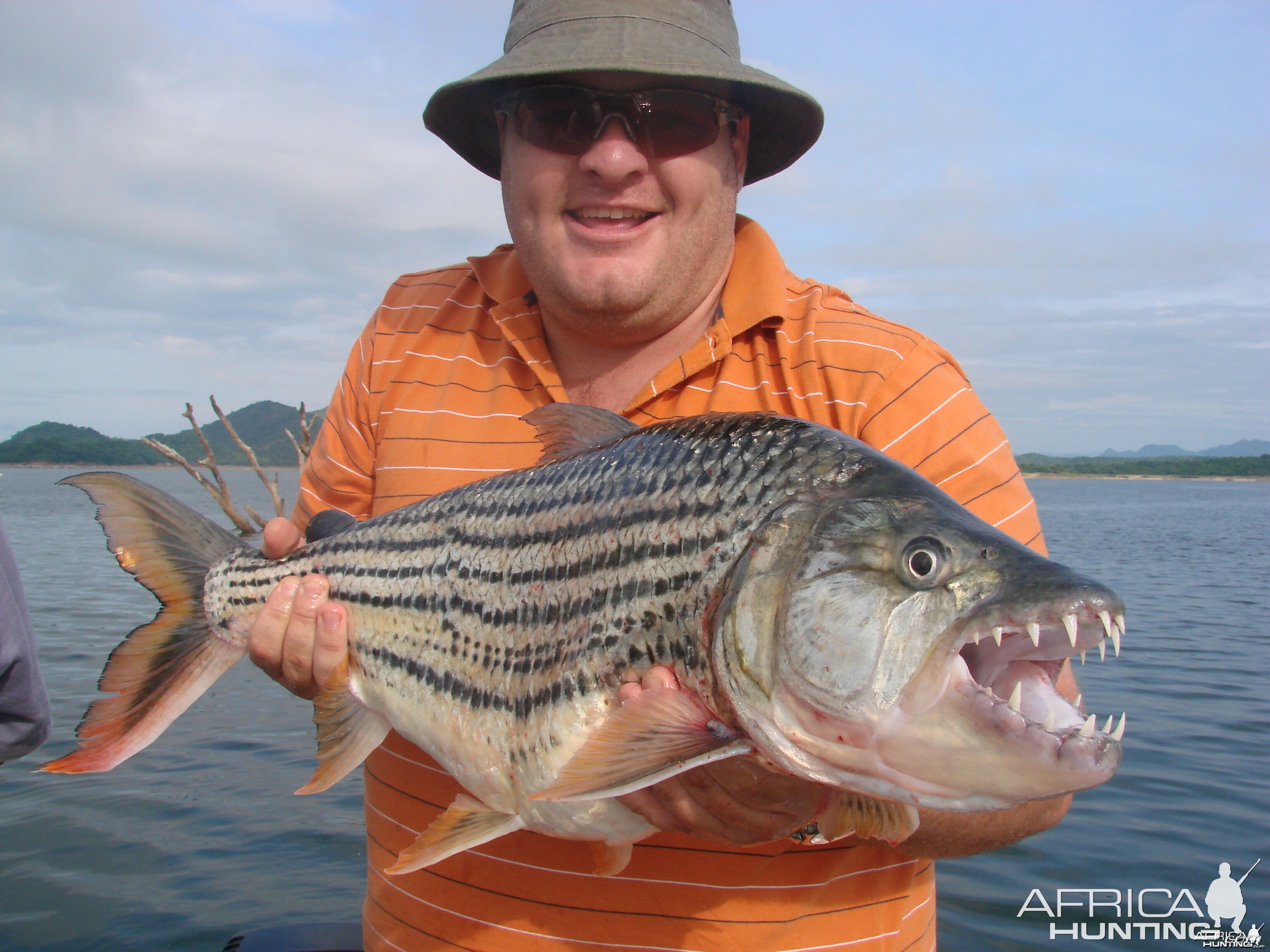 Tiger Fishing