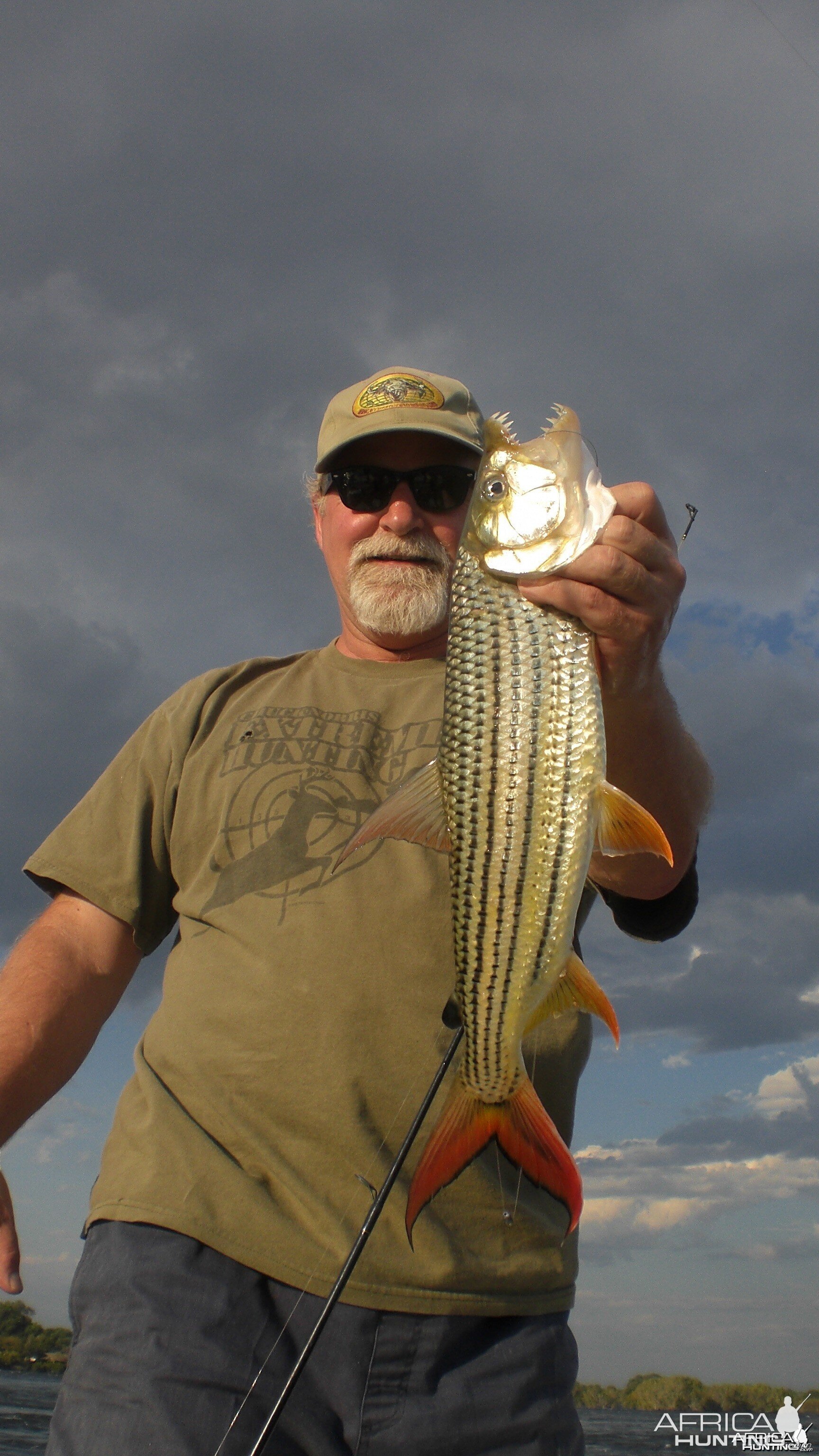 Tiger Fishing