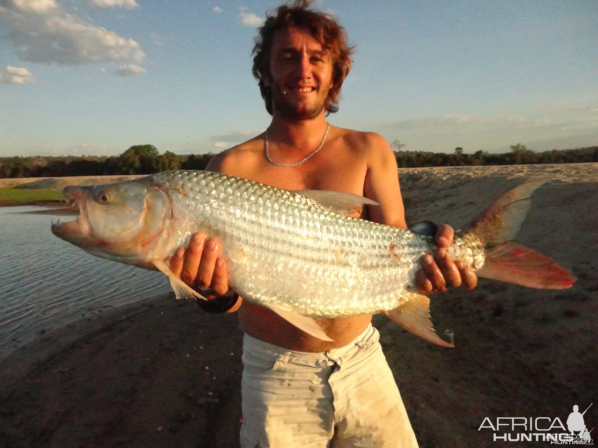 Tiger fishing