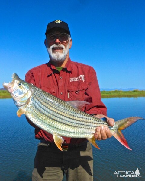 Tiger Fishing