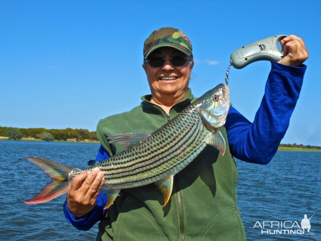 Tiger Fishing