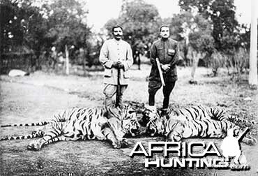 Tiger Hunting in India