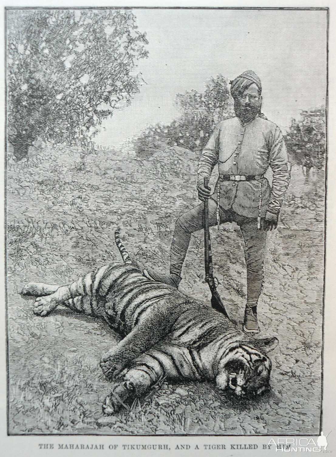 Tiger Hunting